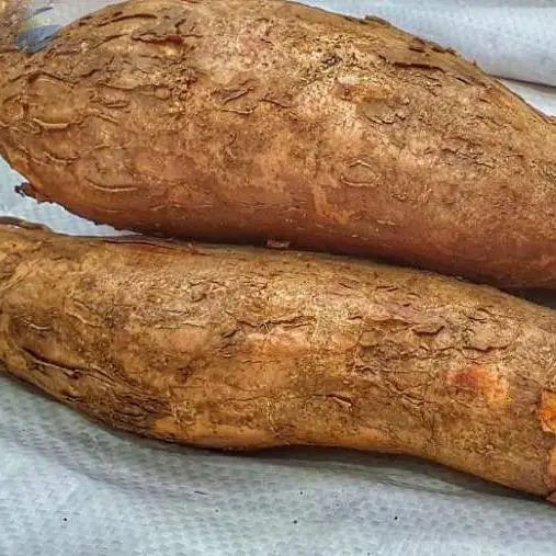 Cassava
