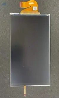 Nintendo Switch Lite LCD