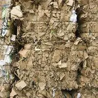 Paper Scrap