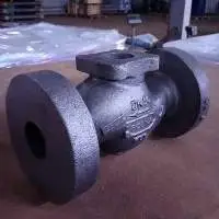 Components For Isolation Valve