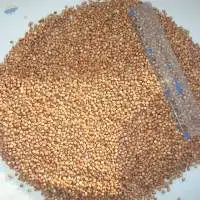White / Red Sorghum Seeds