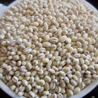 Pearl Barley