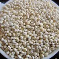 Pearl Barley