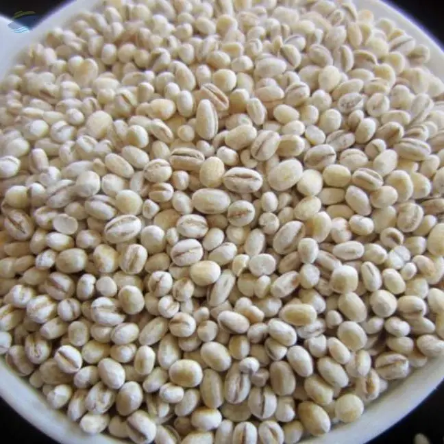 Pearl Barley