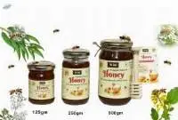 Multiflora Honey