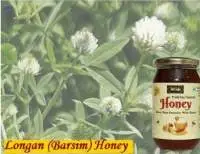 Barsim Honey