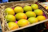 Indian Mango