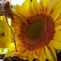 Crude and Refined SunfloweR Oil