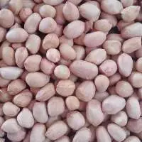 Groundnut Seeds