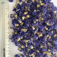 Cornflower Whole-Blue