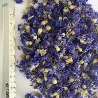 Cornflower Whole-Blue