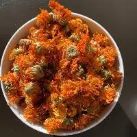 Calendula