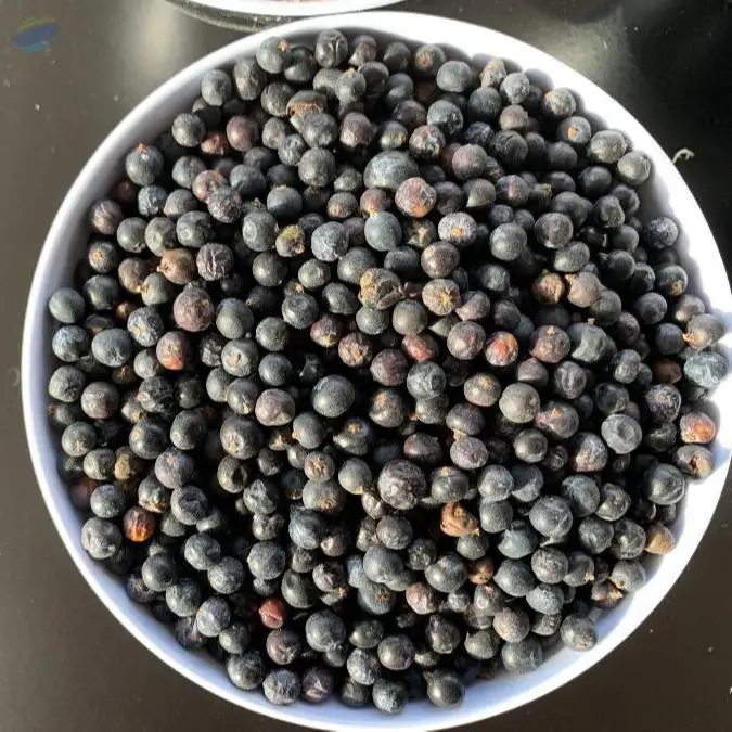 Juniperus Communis