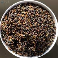 Sambucus Nigra Fructus