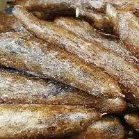 Fresh Cassava