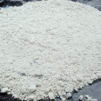 Animal Feed