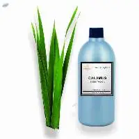 Calamus Essential Oil