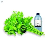 Celery Essential Oil