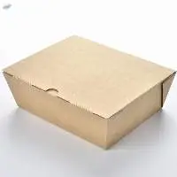 PE Coating Brown Food Packaging Folded Box