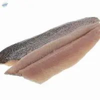 Trout, Seabass, Seabream, Anchovy, Eggs, Caivar.