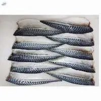 Mackerel
