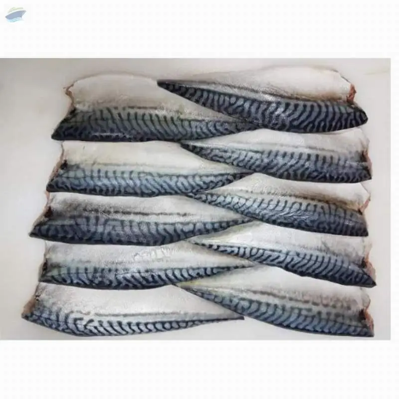 Mackerel