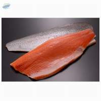 Salmon