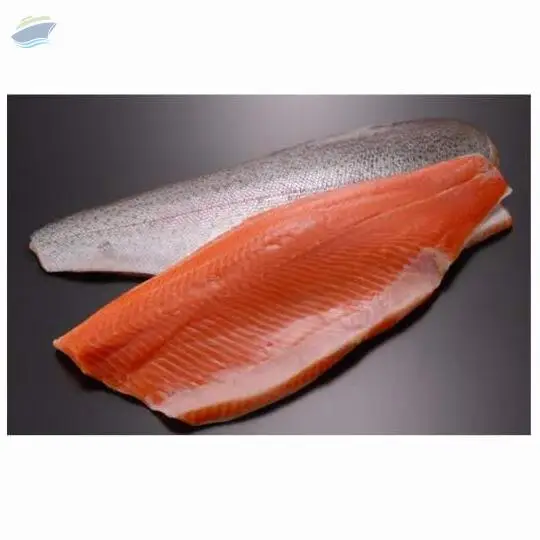 Salmon