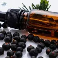 Essential Oils