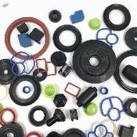 O-ring / Seals / Gasket