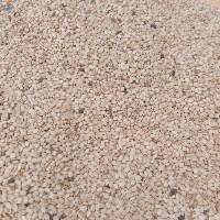 White Sesame