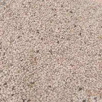White Sesame