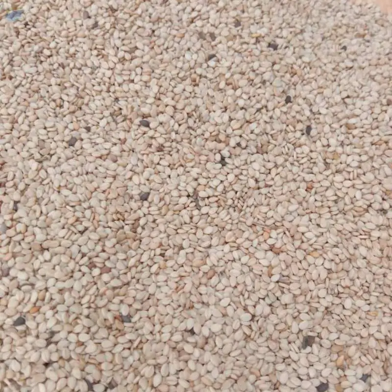 White Sesame