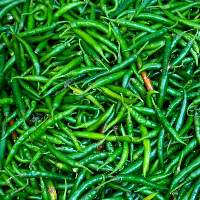 Green Chilli