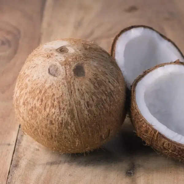 Dry Coconut Ball