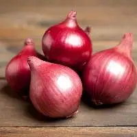 Fresh Red Onion
