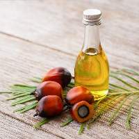 Export Grade Refined Palm Oil (RBD)