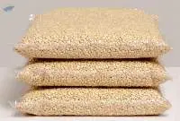 Pine Nut Kernel