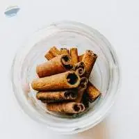 Cassia Cinnamon Stick