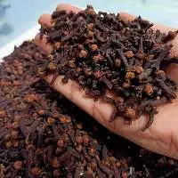 Cloves