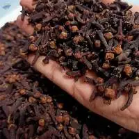 Cloves