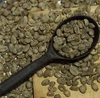Robusta Coffee