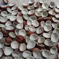 Copra