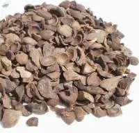Palm Kernel Shell