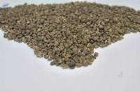 Mandheling Arabica Coffee