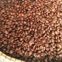 Robusta & Arabica Coffee