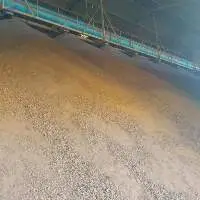 Palm Kernel Meal / Expeller / Cakes