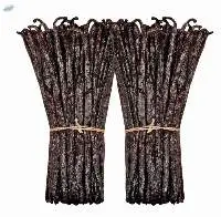 Madagascar Vanilla