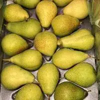 Pear