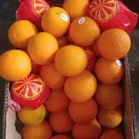 Mandarin